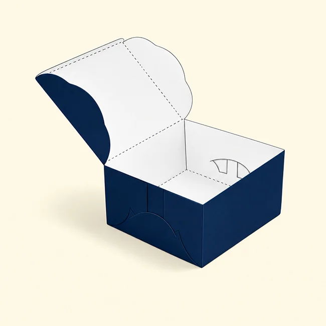 Top Closure Boxes